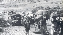 أن تكونَ بلا وطنٍ، وقتها تدركُ المشكلةْ
