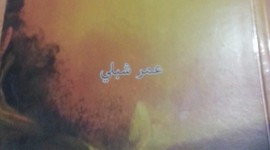 قراءة في ديوان “أيّ خبز فيك يا هذا المطر” – ليندا نصّار